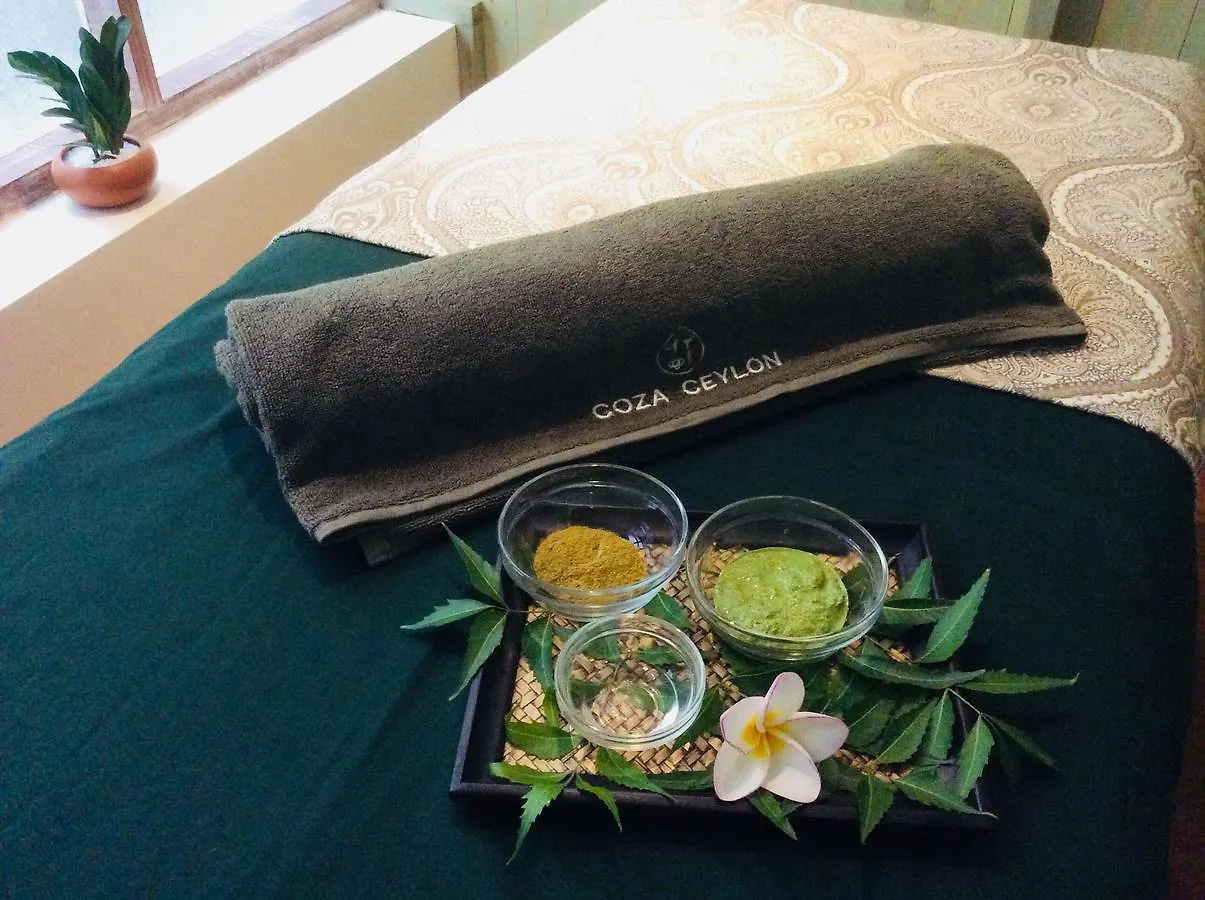 Coza Ceylon Hotel Dehiwala-Mount Lavinia