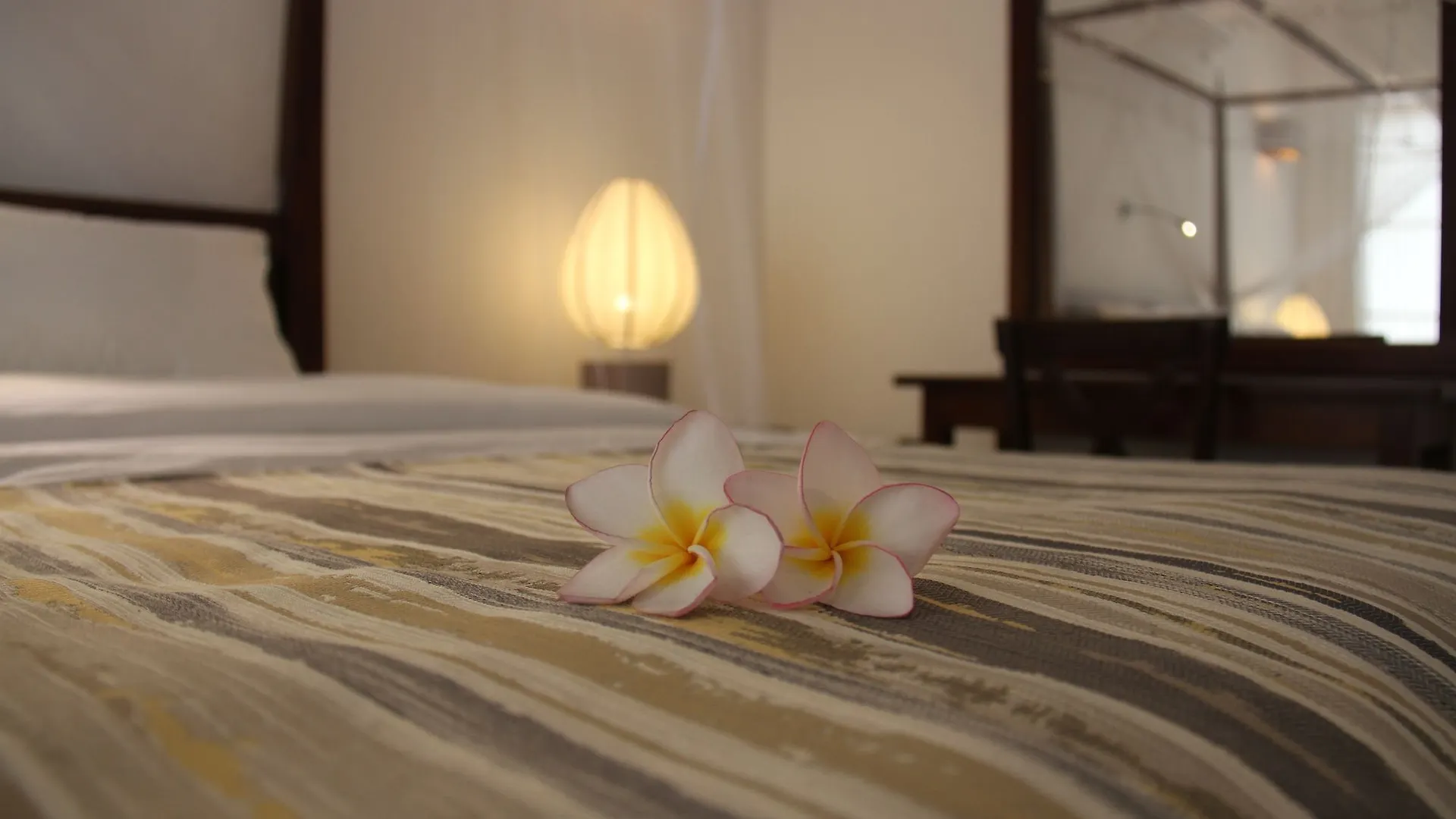 Coza Ceylon Hotel Dehiwala-Mount Lavinia